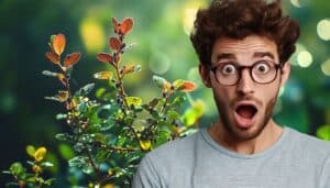 יש לכם בעיה עם בלדלואיס בגינה? השיטה המהירה שתשנה את הדינמיקה