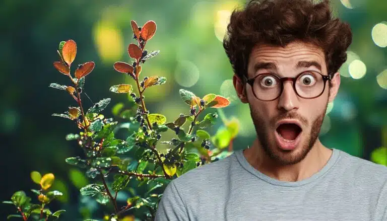 יש לכם בעיה עם בלדלואיס בגינה? השיטה המהירה שתשנה את הדינמיקה